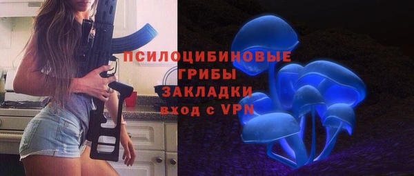 крисы Верея