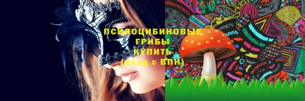 прущая мука Верхний Тагил