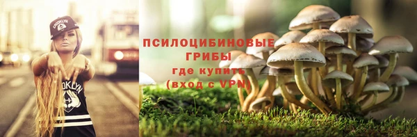 крисы Верея