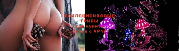 шишки Верхнеуральск