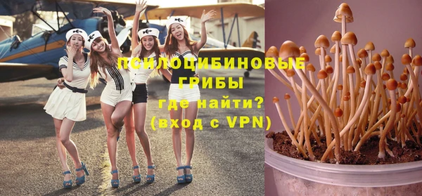 крисы Верея