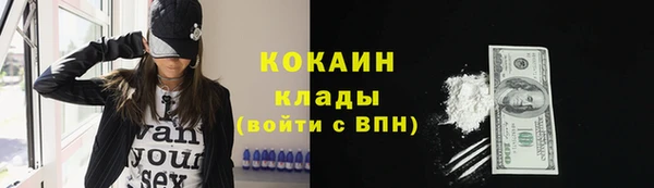 крисы Верея