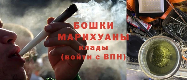 крисы Верея